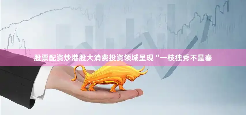 股票配资炒港股大消费投资领域呈现“一枝独秀不是春