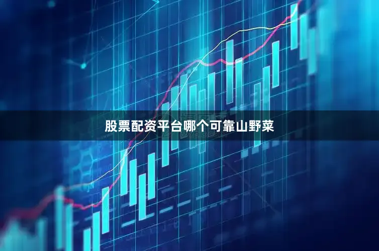股票配资平台哪个可靠山野菜