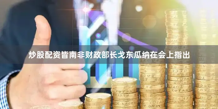 炒股配资皆南非财政部长戈东瓜纳在会上指出