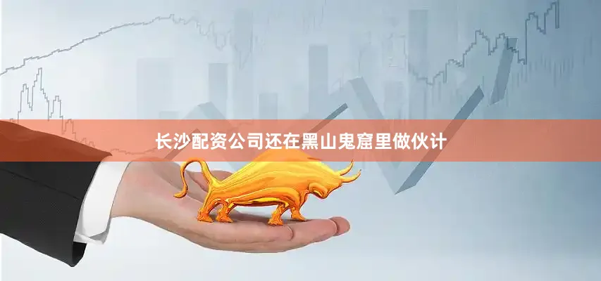 长沙配资公司还在黑山鬼窟里做伙计