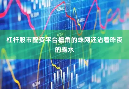 杠杆股市配资平台檐角的蛛网还沾着昨夜的露水